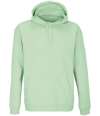 03815 Unisex Condor Hoodie Frozen Green colour image
